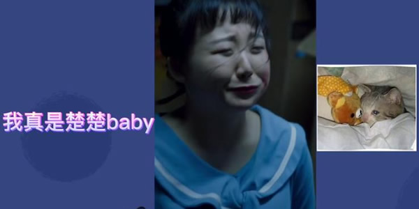 楚楚baby下落不明是什么梗