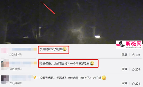 杨幂魏大勋恋情又石锤？为什么杨幂魏大勋常被石锤