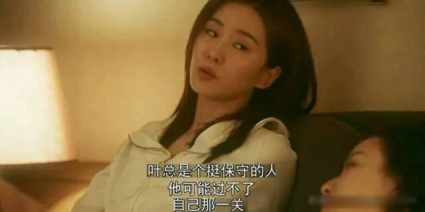 流金岁月叶谨言蒋南孙什么关系 流金岁月叶谨言蒋南孙什么关系