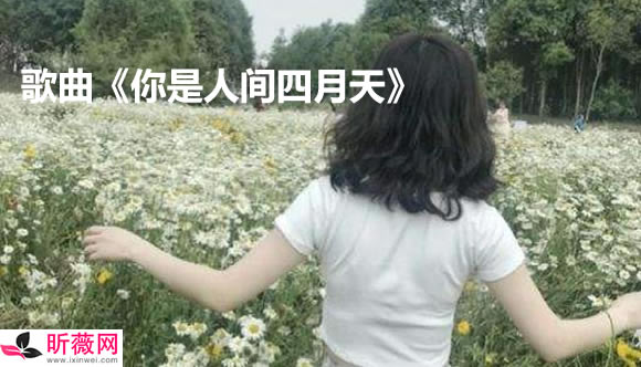 网络红歌2020火爆歌曲前十歌单:2020网络爆红歌曲50首 网络红歌2020火爆歌曲前十歌单:2020网络爆红歌曲50首