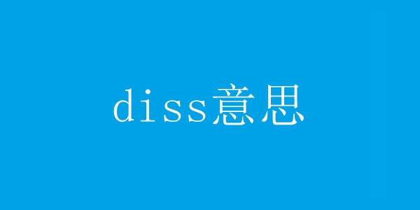 求解diss是什么意思? 求解diss是什么意思?