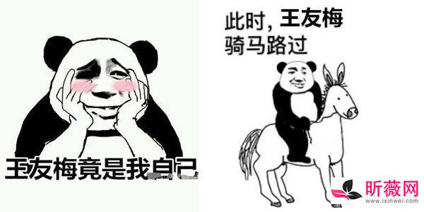 王友梅是什么意思什么梗 丁真祝王友梅周末快乐梗的含义