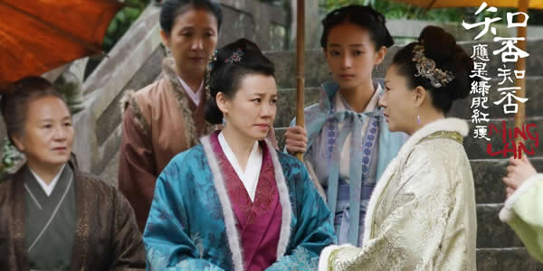 知否知否应是绿肥红瘦原著小说是什么 知否知否应是绿肥红瘦原著小说是什么