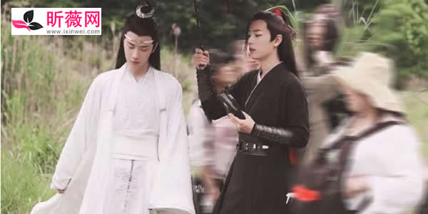 陈情令是男同题材电视剧吗？