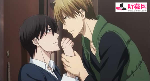 大盘点！每集都开车的日剧有哪些，男人深夜偷偷看