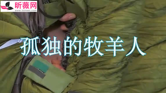 刀郎最好听的12首歌:冲动的惩罚是不是说的就是你呢 刀郎最好听的12首歌:冲动的惩罚是不是说的就是你呢