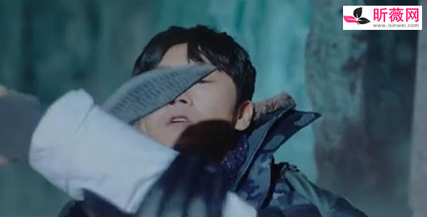 沙海吴邪被割喉坠崖谁救的? 沙海吴邪被割喉坠崖谁救的?