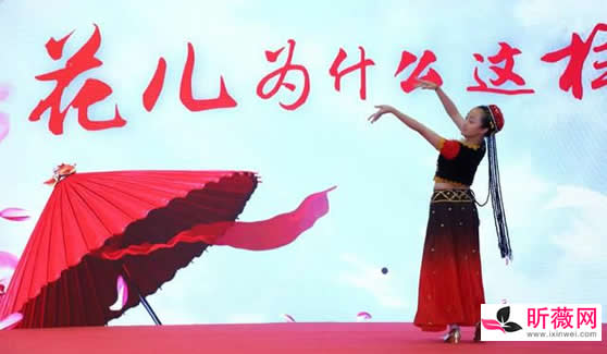 70,80,90年代经典老歌:怀旧原唱经典老歌100首 70,80,90年代经典老歌:怀旧原唱经典老歌100首