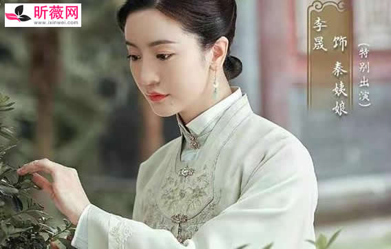 锦心似玉李晟是好人还是坏人 谁才是最大反派