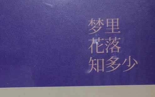 精选10部值得看10遍小说,适合女生看的小说 精选10部值得看10遍小说,适合女生看的小说