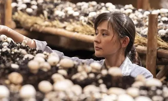 山海情水花男人怎么死的？山海情永富和水花的结局