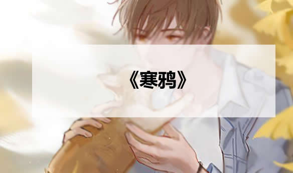 军婚小说排行榜前10，已完结人气最旺军婚小说