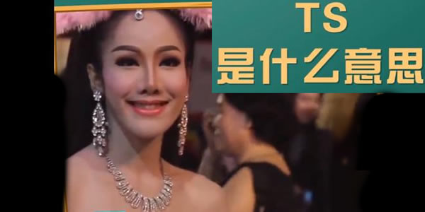 求解ts是什么意思? 求解ts是什么意思?