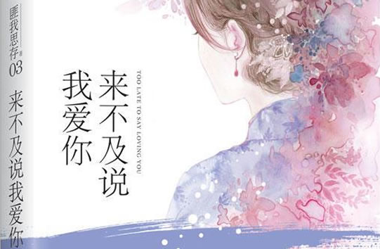 翻拍成电视剧的民国小说有哪些？精选6部文笔精彩的高质量民国小说