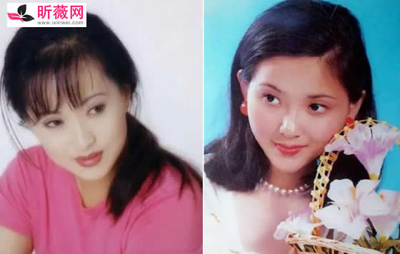 陶慧敏个人简介及年轻美照 陶慧敏结婚了吗 陶慧敏个人简介及年轻美照 陶慧敏结婚了吗