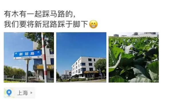 上海新冠路为什么火了 想不想去上海新冠路走一走