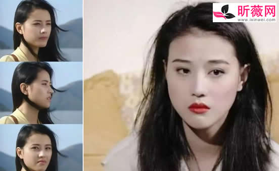 周海媚个人简历资料及照片年轻时照片