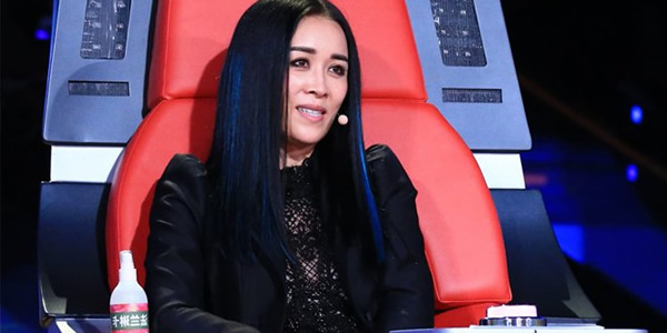 那英家世显赫吗 那英家世显赫吗