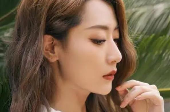 白冰个人资料简介 白冰家世显赫吗