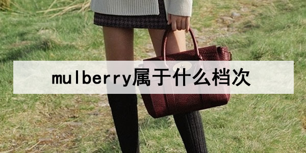 mulberry属于什么档次