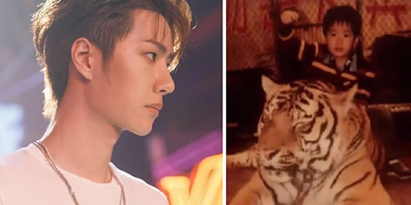 王一博家境如何