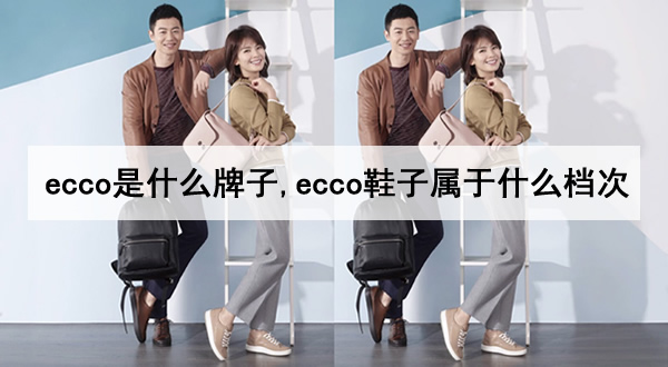 ecco是什么牌子,ecco鞋子属于什么档次