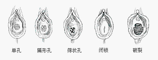 欣赏人体结构图解（完整版）