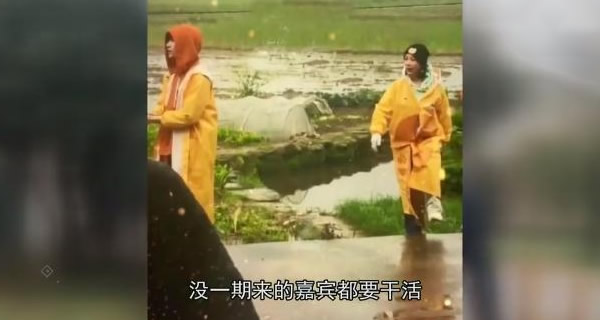 杨紫张艺兴为什么传绯闻,杨紫张艺兴反向炒作 杨紫张艺兴为什么传绯闻,杨紫张艺兴反向炒作