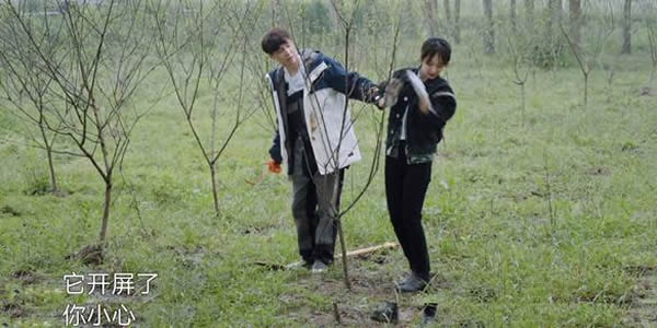 张艺兴喜欢杨紫的证据（张艺兴杨紫在一起）