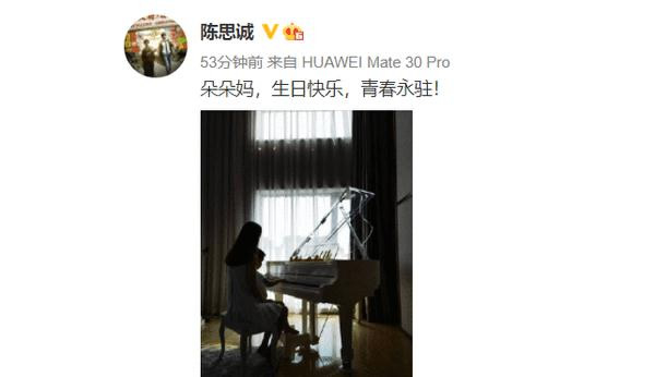 佟丽娅陈思诚现状