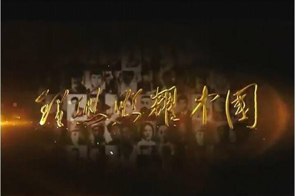 2021十大必看电视剧(2021高分电视剧)