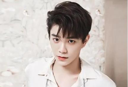丁禹兮为什么改名 丁禹兮是怎么出道的
