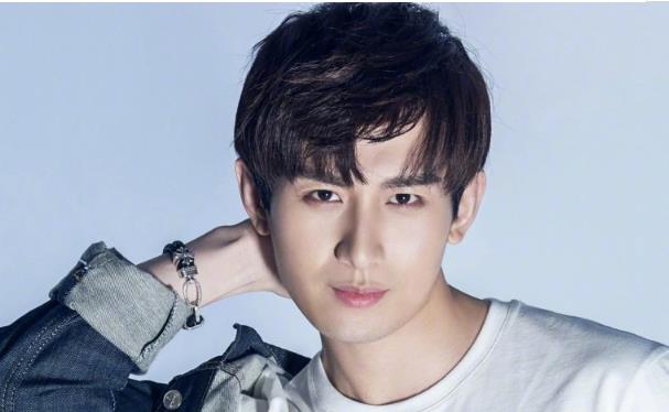成毅和李宏毅什么关系,成毅是哪里人