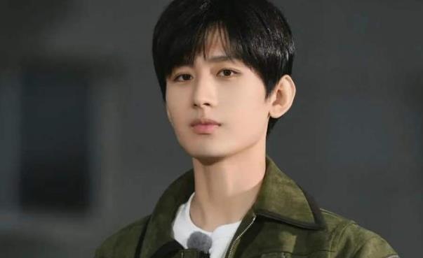 成毅和李宏毅什么关系,成毅是哪里人