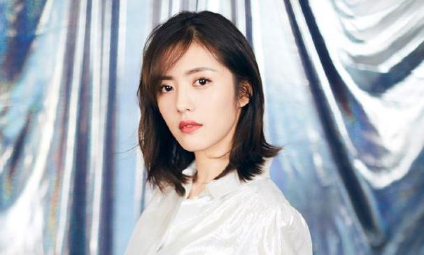 蔡文静的老公是谁,蔡文静是哪里人