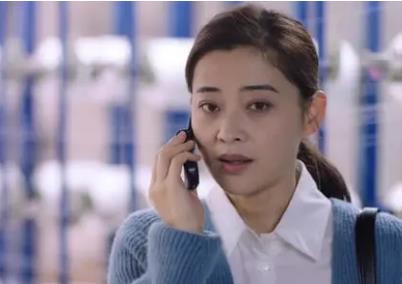 梅婷和辛芷蕾什么关系揭秘 梅婷老公是谁及资料