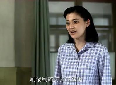 梅婷和辛芷蕾什么关系揭秘 梅婷老公是谁及资料
