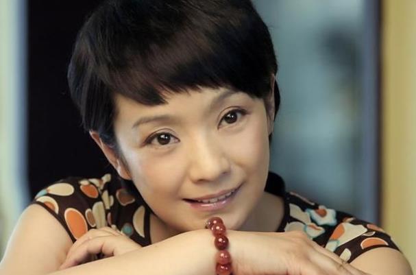 张嘉译老婆王海燕个人资料简介及身高,张嘉译老婆王海燕主演的电视剧