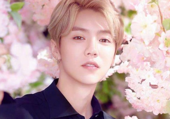鹿晗